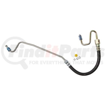 91655 by PLEWS - PS Hose