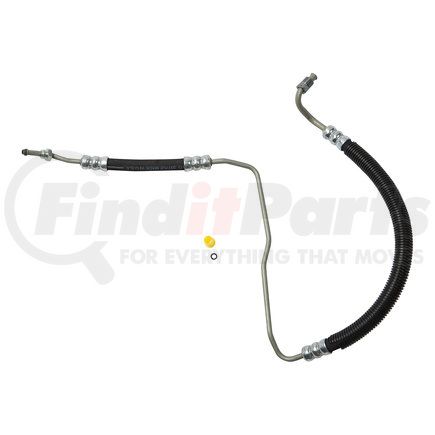 91685 by PLEWS - PS Hose