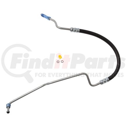 92008 by PLEWS - PS Hose