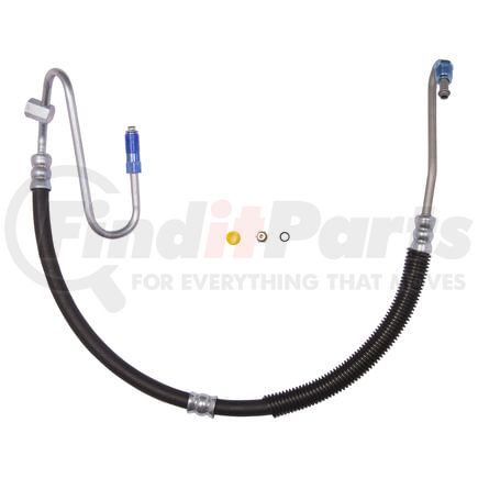 92062 by PLEWS - PS Hose