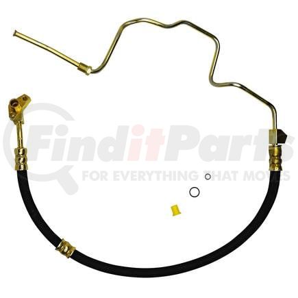 92163E by PLEWS - PS Hose