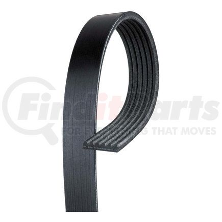 6K335SF by ACDELCO - Professional™ Serpentine Belt - Stretch Fit, V-Ribbed