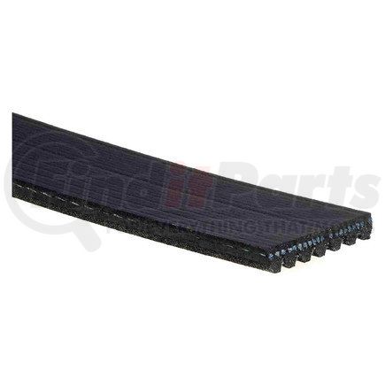 ACDelco 7K1065 Serpentine Belt V-Ribbed Serpen (B)
