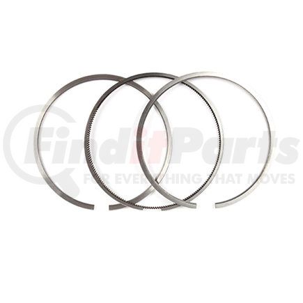 800048010000 by HELLA - Engine Piston Ring Kit