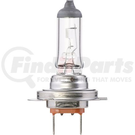 H7MDC1 by PHILIPS AUTOMOTIVE LIGHTING - Philips MasterDuty Bulb