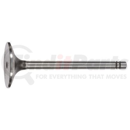 FP-1007860 by FP DIESEL - Intake Valve