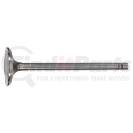 FP-1196772 by FP DIESEL - Engine Parts