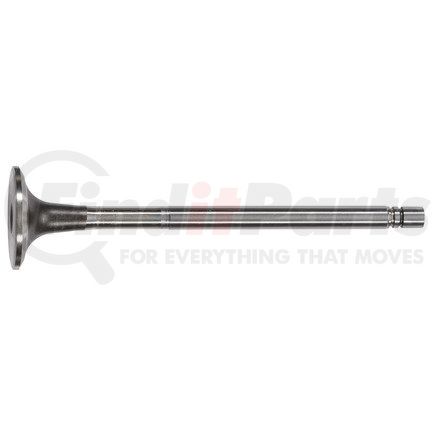 FP-144911 by FP DIESEL - Engine Exhaust Valve