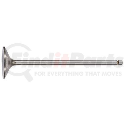 FP-1614280 by FP DIESEL - Engine Intake Valve