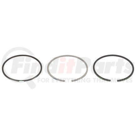 FP-1813171 by FP DIESEL - Piston Ring Set, Standard