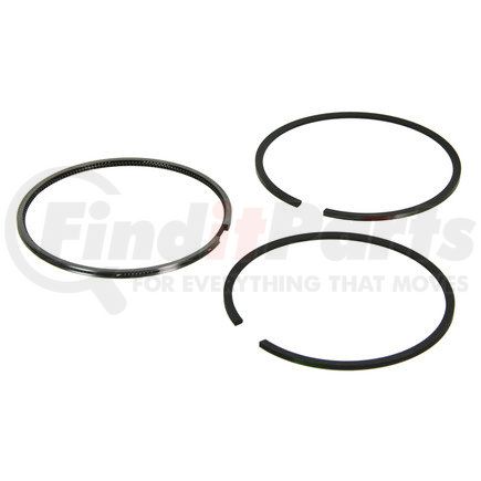 FP-1817247 by FP DIESEL - Piston Ring Set