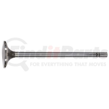 FP-1929213 by FP DIESEL - Engine Intake Valve