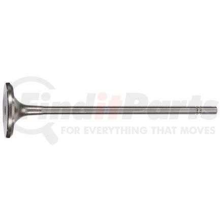 FP-1W1818 by FP DIESEL - Engine Intake Valve