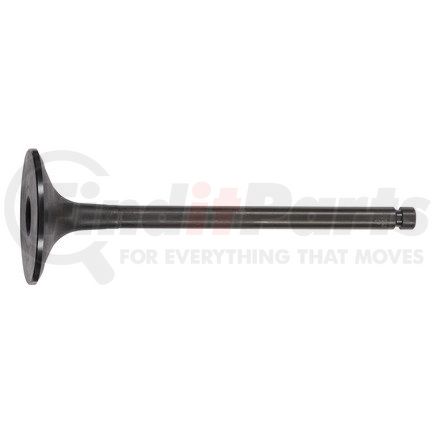 FP-2128477 by FP DIESEL - Engine Intake Valve