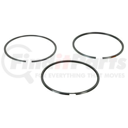 FP-23503747 by FP DIESEL - Piston Ring Set