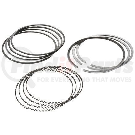 FP-23524542 by FP DIESEL - Piston Ring Set, Standard Gap