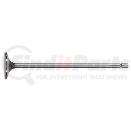 FP-2527801 by FP DIESEL - Engine Intake Valve