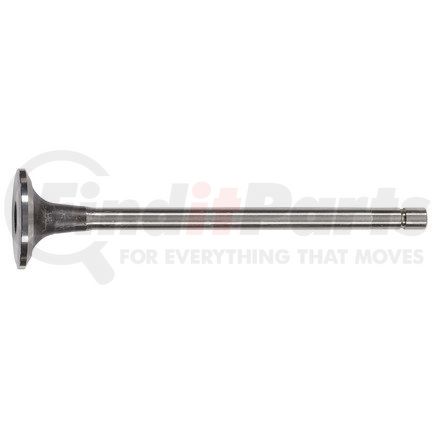 FP-3033234 by FP DIESEL - Engine Intake Valve