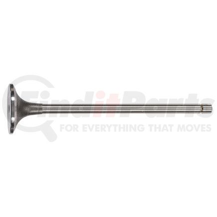 FP-3068519 by FP DIESEL - Engine Intake Valve