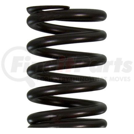 FP-3633840 by FP DIESEL - Valve Spring