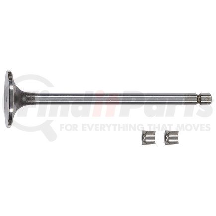 FP-3800340 by FP DIESEL - Engine Intake Valve Kit