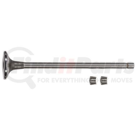 FP-3800636 by FP DIESEL - Engine Intake Valve Kit