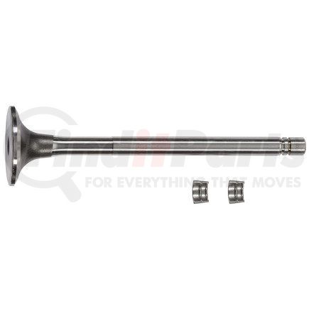 FP-3803512 by FP DIESEL - Engine Intake Valve Kit