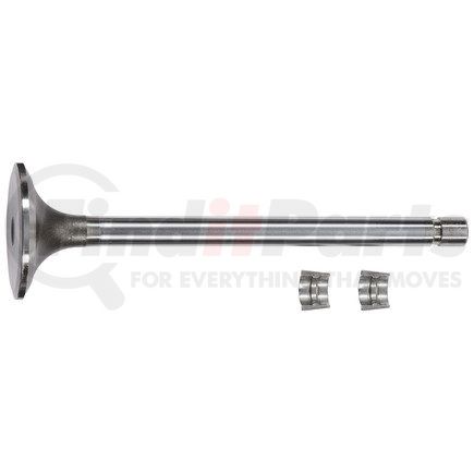 FP-3803515 by FP DIESEL - Engine Intake Valve Kit