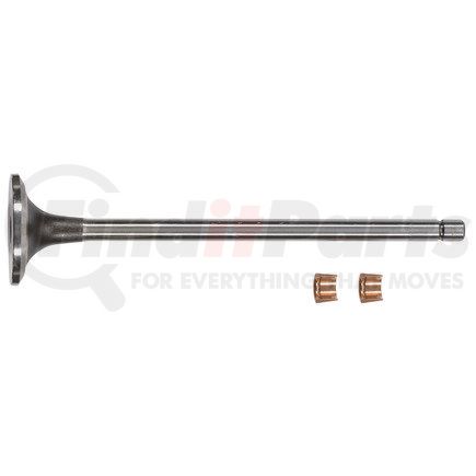 FP-3803726 by FP DIESEL - Engine Exhaust Valve Kit