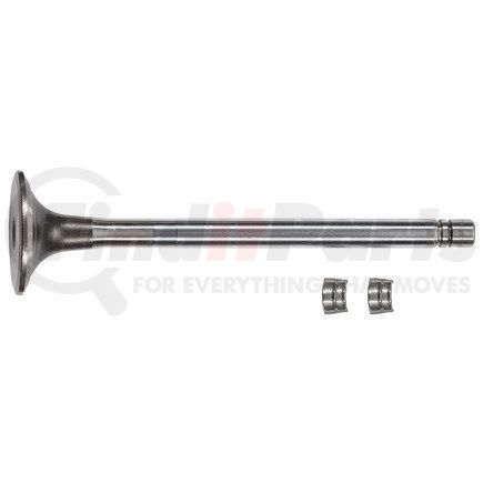 FP-3803524 by FP DIESEL - Engine Exhaust Valve Kit