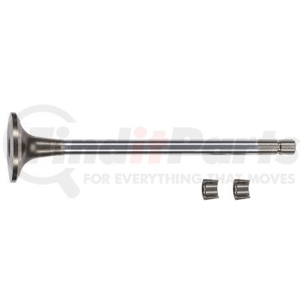 FP-3803996 by FP DIESEL - Engine Exhaust Valve Kit