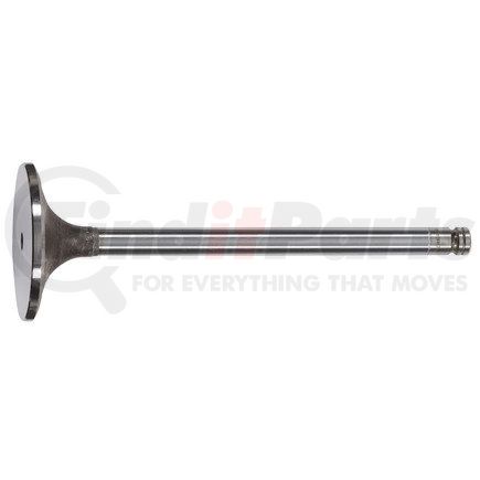 FP-3924492 by FP DIESEL - Engine Intake Valve