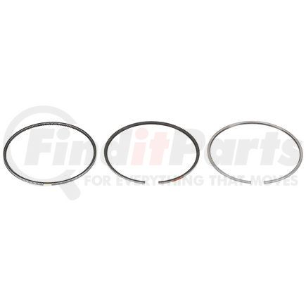 FP-4089385 by FP DIESEL - Ring Set - Single Cylinder