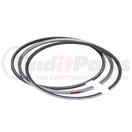 FP-4089489 by FP DIESEL - Piston Ring Set