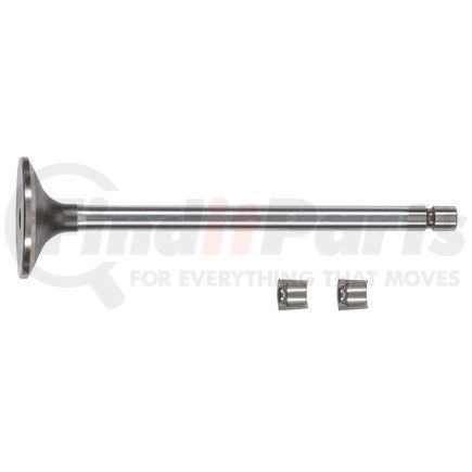 FP-4089761 by FP DIESEL - Engine Intake Valve Kit