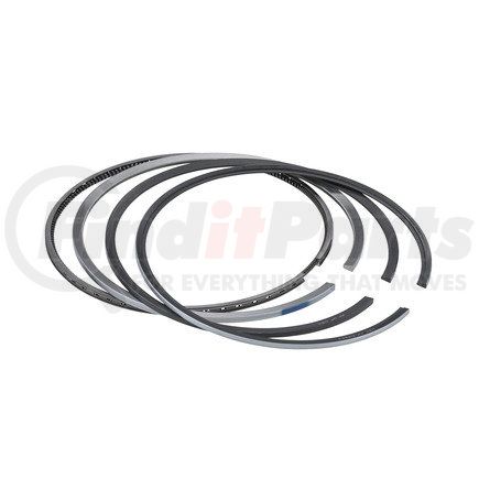 FP-4089811 by FP DIESEL - Engine Piston Ring Gasket Set, Replaces FP-3803471