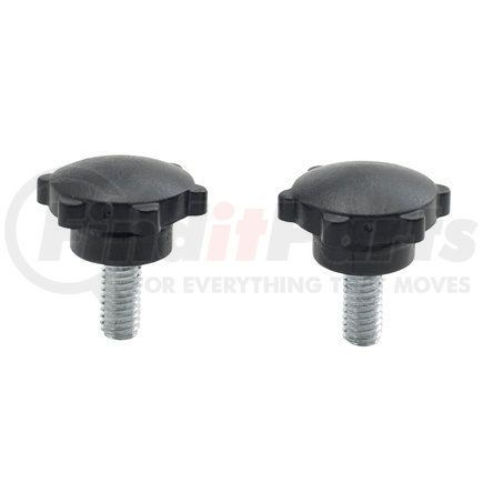 RPKN-6P by ROADPRO - Screw - 6mm Plastic Head, Knob