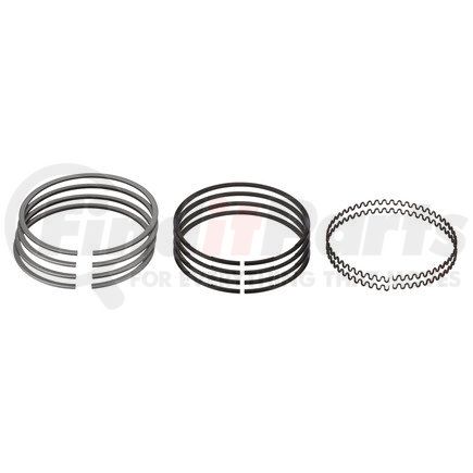 FP-5198822 by FP DIESEL - Piston Ring Set