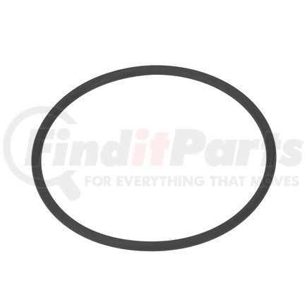 FP-5234699 by FP DIESEL - SEAL RING INJECT