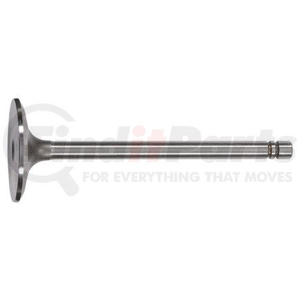 FP-9L7682 by FP DIESEL - Intake Valve