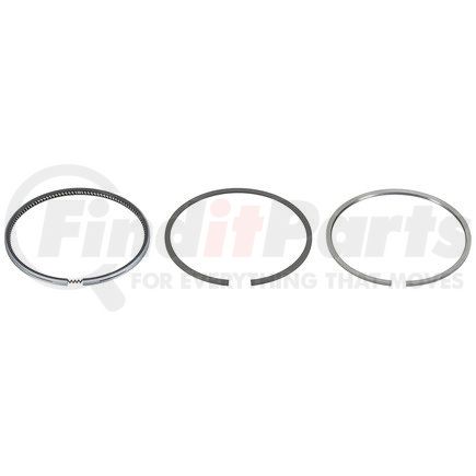 FP-AR55759 by FP DIESEL - RING SET, SINGLE CYL