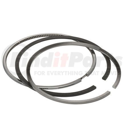 FP-RE66820 by FP DIESEL - Piston Ring Set