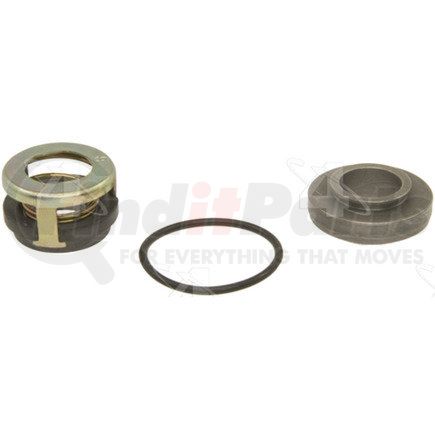 24021 by FOUR SEASONS - Carbon Shaft Seal Kit