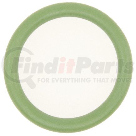24678 by FOUR SEASONS - Green Round O-Ring