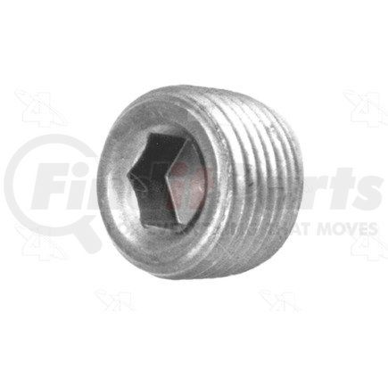 84769 by FOUR SEASONS - Hex Socket Pipe Plug