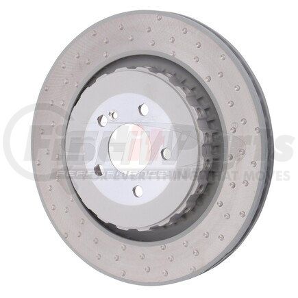 TRX42212 by SHW PERFORMANCE - Disc Brake Rotor