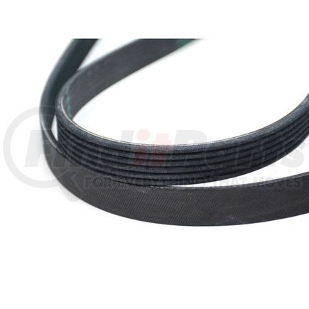 4593684AA by MOPAR - Serpentine Belt - without A/C