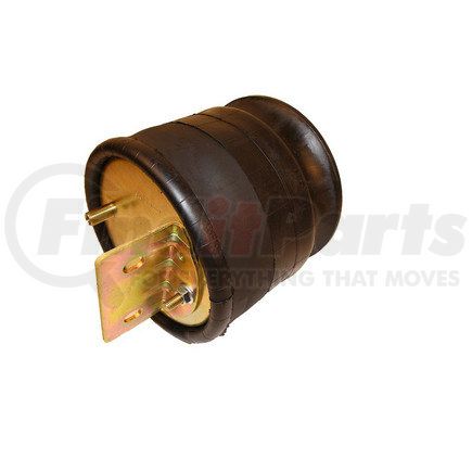 TTP1R12303 by TRACEY TRUCK PARTS - AIR SPRING