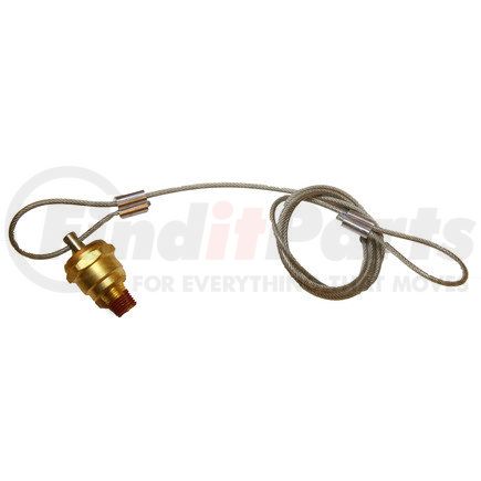 TTPTDAR95512104 by TRACEY TRUCK PARTS - DRAIN VALVE