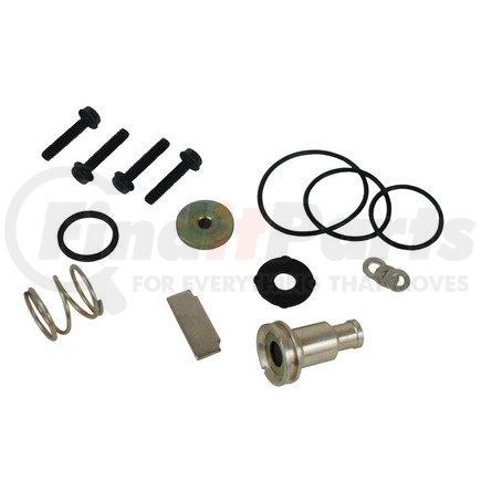 TTPBW5005037 by TRACEY TRUCK PARTS - PURGE VALVE KIT (AD-9?)